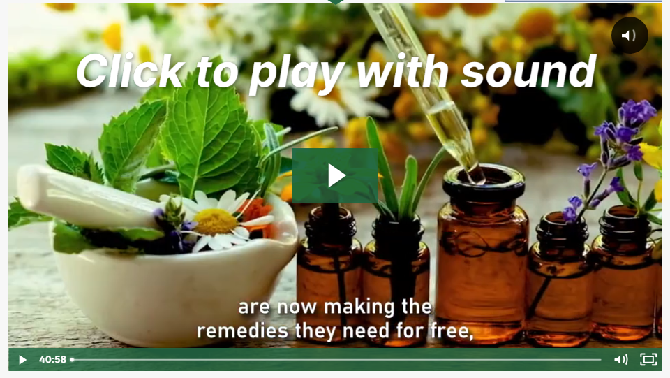 Medicinal Garden Kit by Dr. Nicole Apelian featuring ten seed packets and a comprehensive guide for growing medicinal herbs at home.